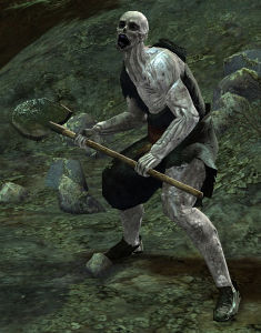 Risen Farmer.jpg