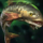 Sand Carp.png