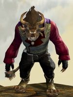 Silk Brocade Outfit