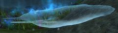 Spirit of Nature Renewal (underwater).jpg