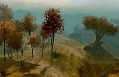 The Ogre Road.jpg
