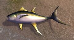 Tuna (land).jpg