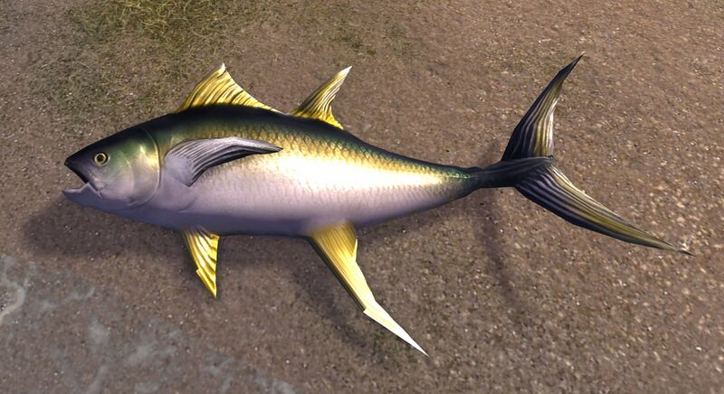File:Tuna (land).jpg
