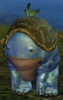 Blue Quaggan Tonic.jpg