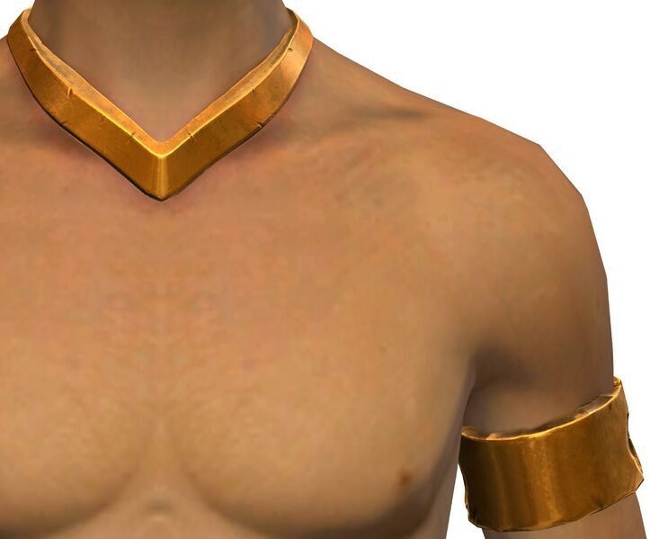 File:Breezy Swim Top male front.jpg