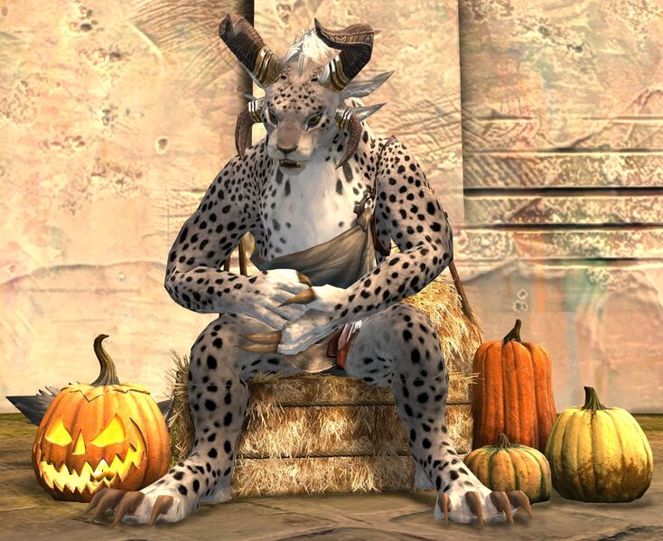 File:Festive Harvest Chair charr female.jpg