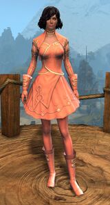 Appearance on light armor.
