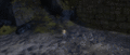 Thumbnail for version as of 08:00, 11 October 2020