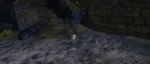 QB Trail 8.gif