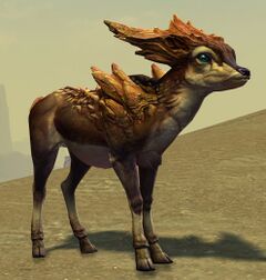 Rock Gazelle Fawn.jpg