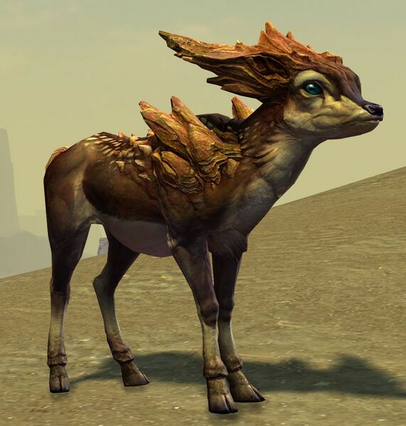 File:Rock Gazelle Fawn.jpg