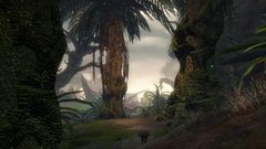 Thistlevine Ravine.jpg