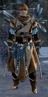 Male Crystal Nomad