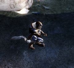 Charr Pilot.jpg