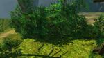 Cliffside badge location.jpg