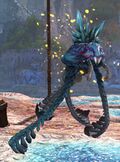 Crazed Reef Rider.jpg