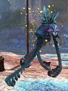Crazed Reef Rider.jpg
