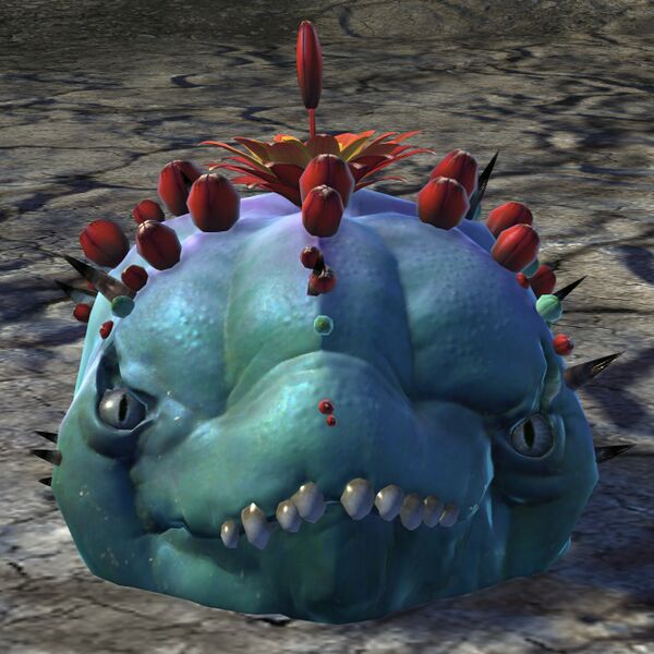 File:Dormant Choya (blue).jpg