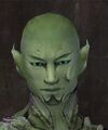 Exclusive face - sylvari male 1.jpg
