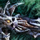 Final Death.png