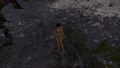 Thumbnail for version as of 13:06, 20 March 2024