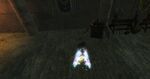 Rise and Shrine 21 location.jpg