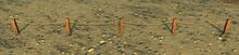 Roped Fence.jpg