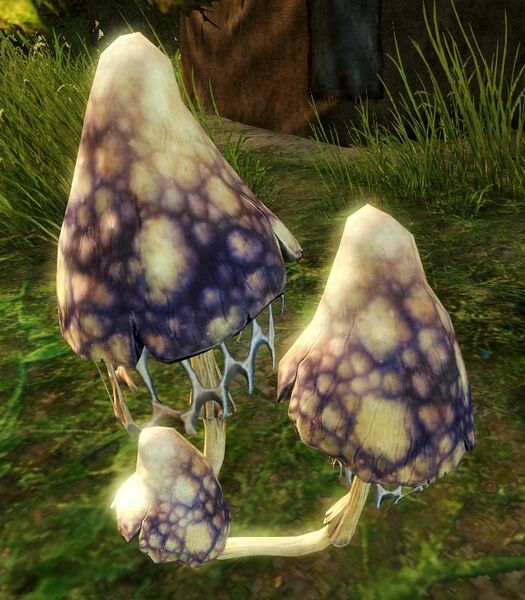 File:Sawgill Mushrooms.jpg