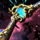 Seer-Enchanted Rifle.png