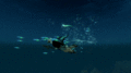 Selachimorpha swimming animation