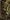 Sentry Steppes map.jpg
