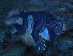 Sickly Quaggan.jpg