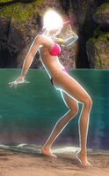 "PoseCover" Emote front.jpg