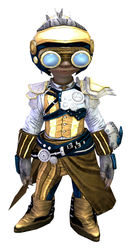 Aetherblade armor (light) asura male front.jpg