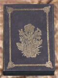 Book (brown 3).jpg
