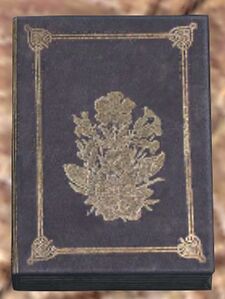 Book (brown 3).jpg