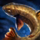Brook Trout.png