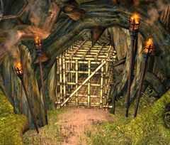 Cage (Salvation Pass).jpg
