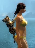 Halkor back.jpg