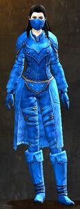 Appearance on medium armor.