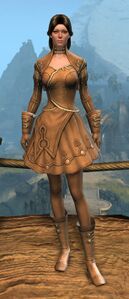 Appearance on light armor.