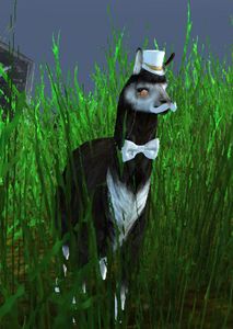 Lost Lavish Black Llama.jpg