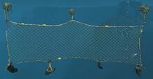 Net Wall.jpg