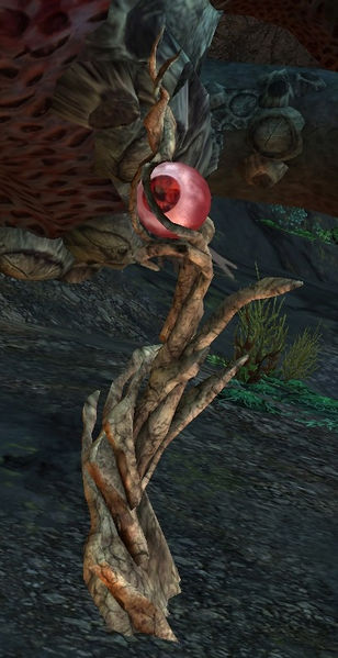 File:Orrian Guard Turret.jpg