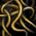 Pasta Noodles.png