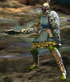 Risen Squire.jpg
