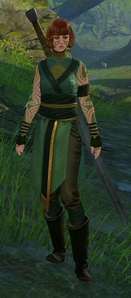 File:Scouting Party Protector.jpg