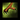 Slash (bird).png