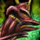 Trickster's Gloves.png