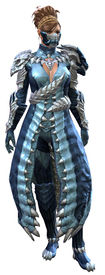 Accursed armor norn female front.jpg